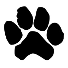 paw1